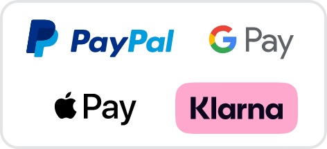 Live Autritt einer Rockband