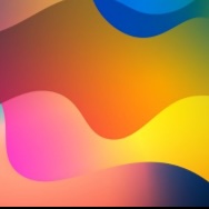 DTF / DTG Digitaldruck